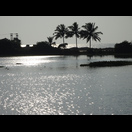 Die Backwaters trennt oft nur ein schmaler Landstreifen vom Meer